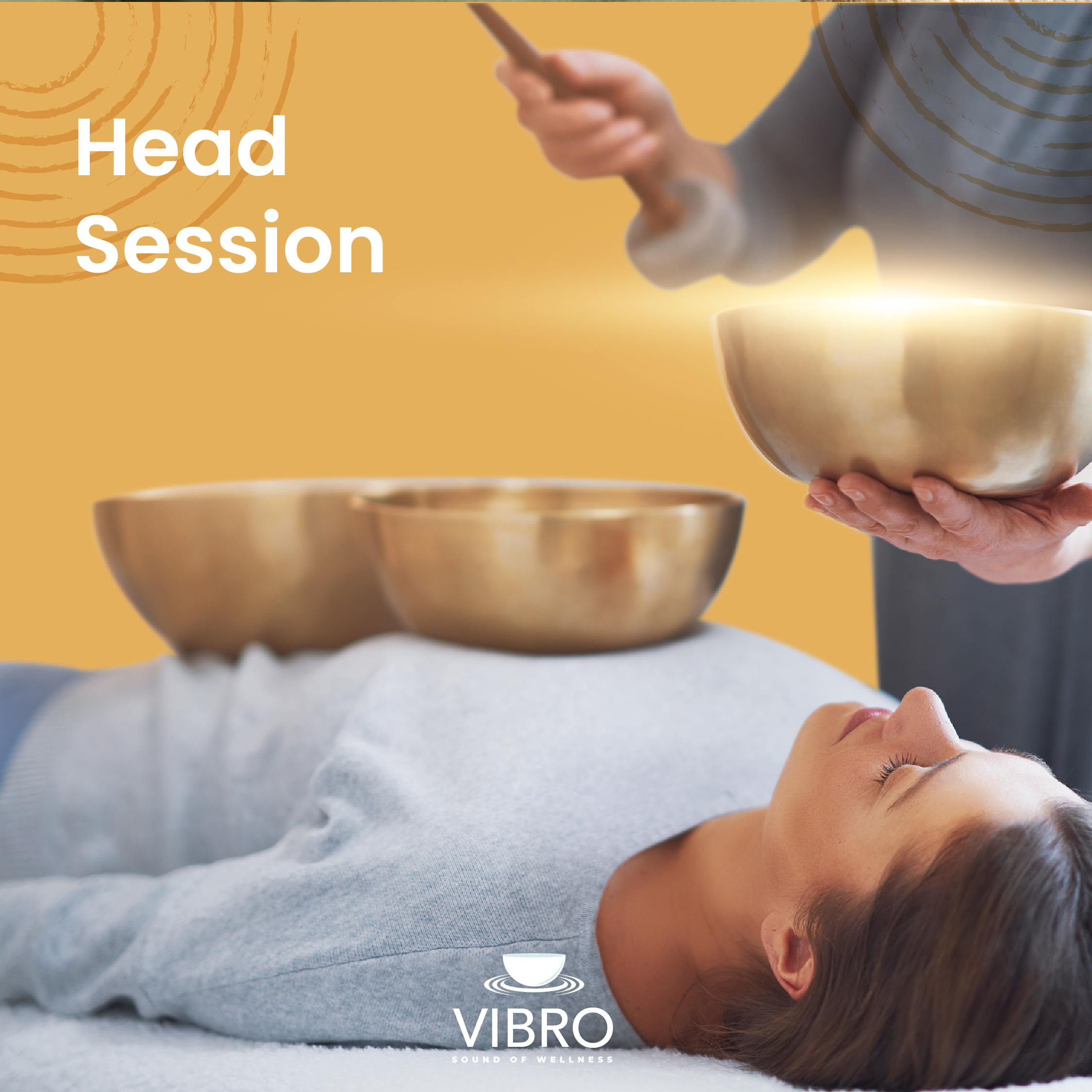 Vibro – webpage – En [Recovered]-11
